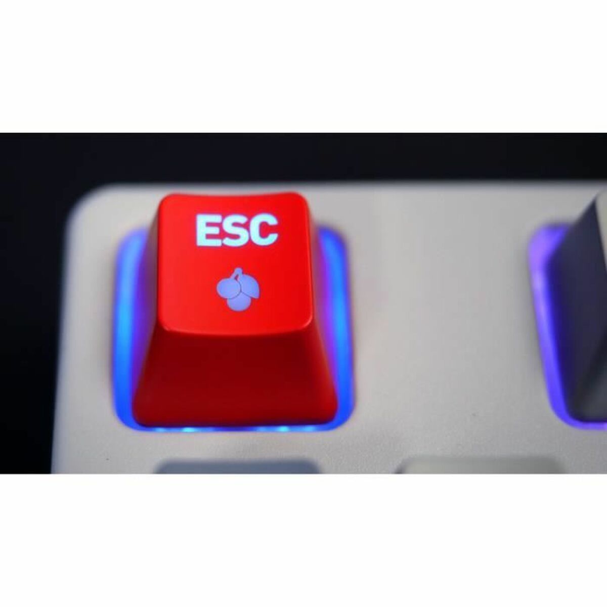 Keyboard and Mouse Cherry